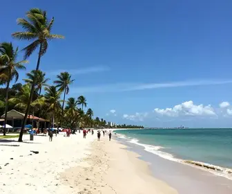 City Tour Imperdível em Maceió: Conheça as Belezas da Capital Alagoana City Tour Imperdível em Maceió: Conheça as Belezas da Capital Alagoana