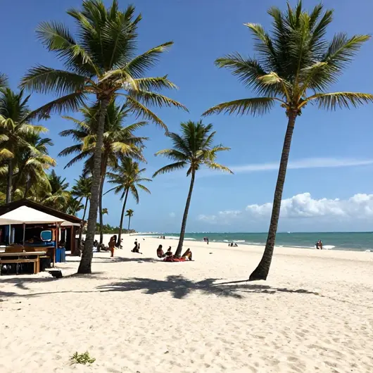 Descubra a Praia de Ponta Verde: O Paraíso Alagoano
