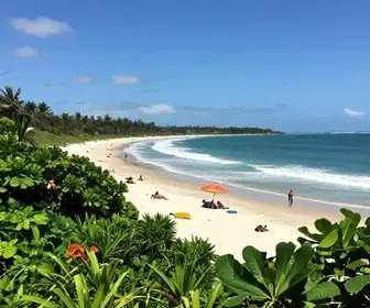 Descubra as Encantadoras Praias do Litoral Norte de Maceió