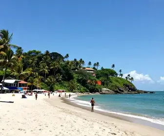 Descubra as Maravilhas da Praia do Gunga em Maceió