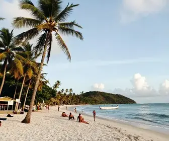 Descubra as Maravilhas da Praia do Sobral em Maceió