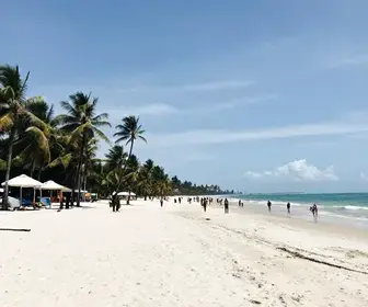 Descubra as Praias Tranquilas de Maceió