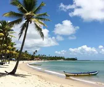 Descubra Maceió em 1 Dia: Um Roteiro Imperdível
