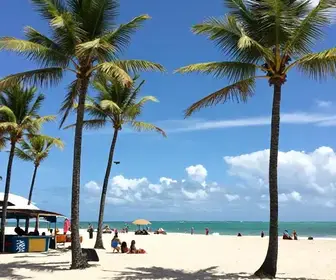 Descubra Maceió: Um Guia Completo para Planejar sua Viagem Descubra Maceió: Um Guia Completo para Planejar sua Viagem