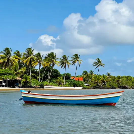 Descubra o Barbatana Boat