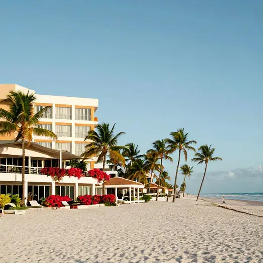 Descubra o Trópico Praia Hotel Descubra o Trópico Praia Hotel