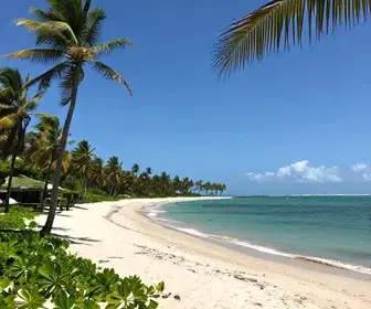Descubra Porto de Pedras: O Paraíso Escondido em Alagoas Descubra Porto de Pedras: O Paraíso Escondido em Alagoas