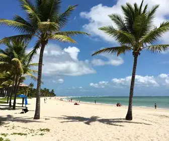 Explorando a Praia de Ponta Verde em Maceió: Um Paraíso à Beira-Mar