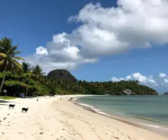 Explorando o Ecoturismo em Maceió: Descubra a Natureza Deslumbrante