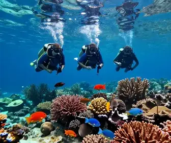 Explore o Mundo Subaquático: Snorkel em Maceió Explore o Mundo Subaquático: Snorkel em Maceió