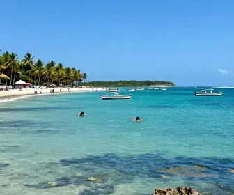 Explore os Encantos dos Recifes de Maceió