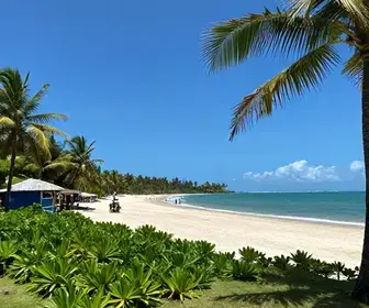 Explore São Miguel dos Milagres: O Paraíso Escondido em Alagoas Explore São Miguel dos Milagres: O Paraíso Escondido em Alagoas