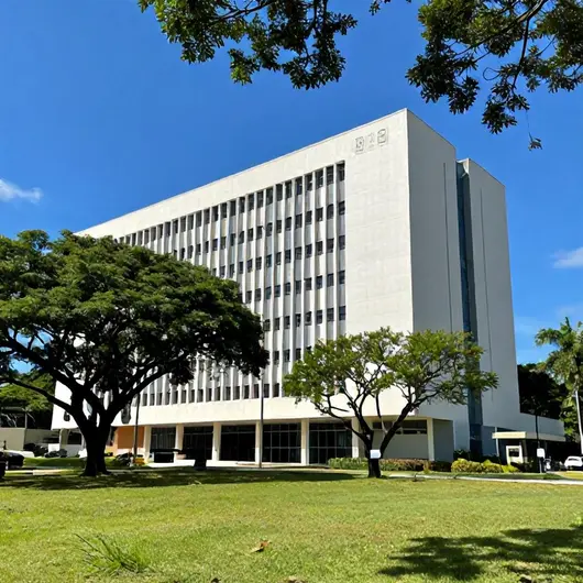 Instituto de Pesquisa: sua fonte de conhecimento em urbanismo e meio ambiente