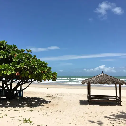 Maceió Dicas